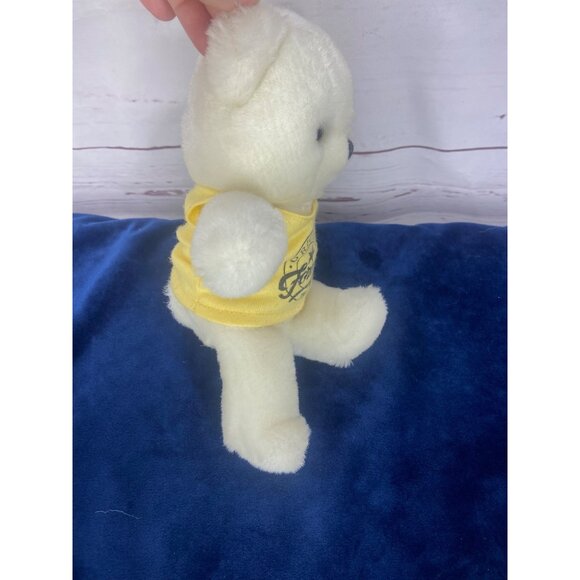 Vintage 1986 Forenza By Applause 9 Inch Plush Stuffed Bear Yellow T Shirt - Picture 2 of 6